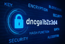 dnoga1b2c3d4
